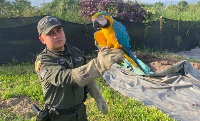 Una de las prioridades para nuestra institución es la protección de todos los seres vivos