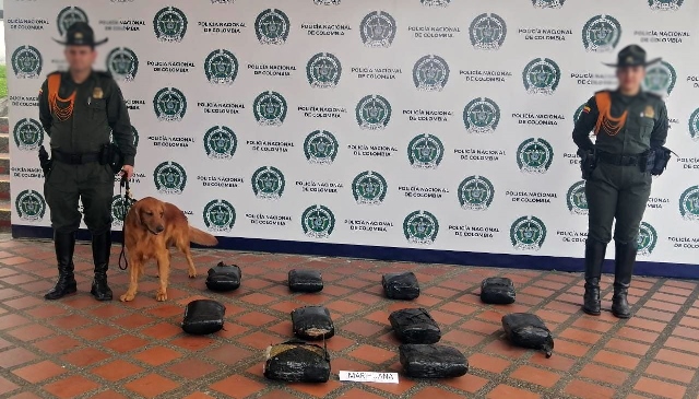 Realizamos-la-incautación-de-27.000-gramos-de-marihuana-y-varias-dosis-de-drogas-sintéticas