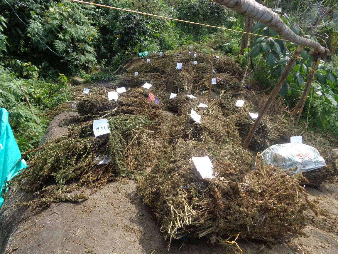Policía Antinarcóticos destruye dos centros de acopio y un laboratorio para el procesamiento de cocaína y marihuana 