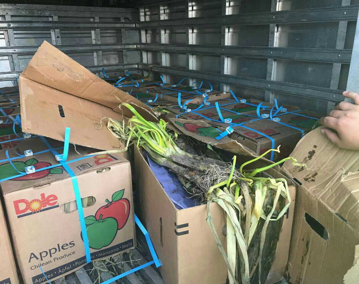 En-dos-vehículos-escondían-440-kilos-de-cocaína