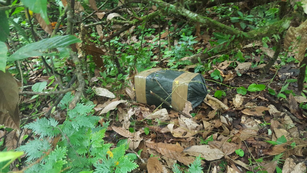 Hallado-y-destruido-laboratorio-del-ELN-en-Tumaco.