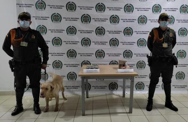 Realizamos operativos de registro y control para la promoción de espacios libres de estupefacientes