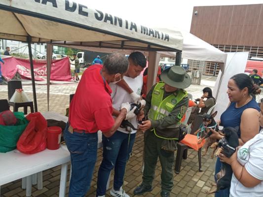 Jornada de atención y vacunación en animales