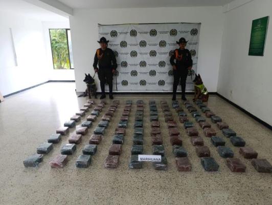 incautación de estupefacientes 