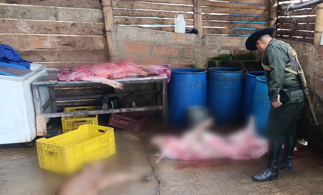 Con esta acción, se refuerzan las medidas sanitarias en Antioquia para proteger la salud pública.