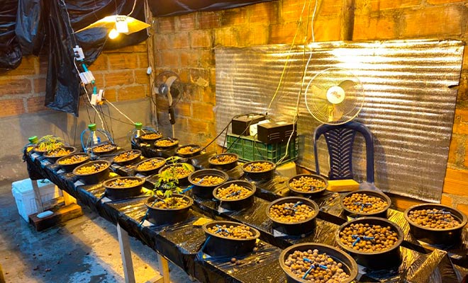 incautación de laboratorio de estupefacientes