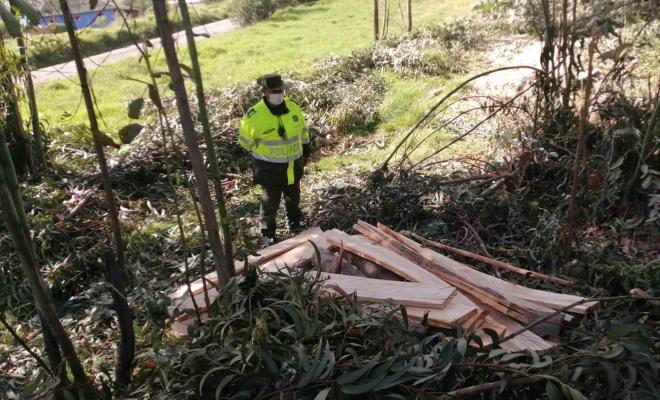 Incautación de madera en el municipio de Samacá