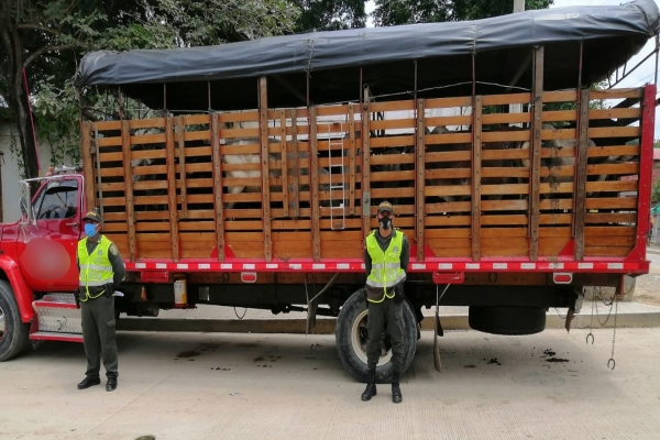 incautacion-reses-bolivar