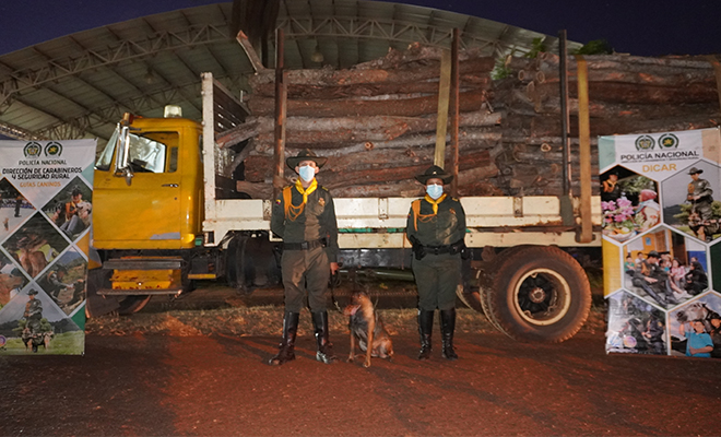 madera incautada-policías custodiando