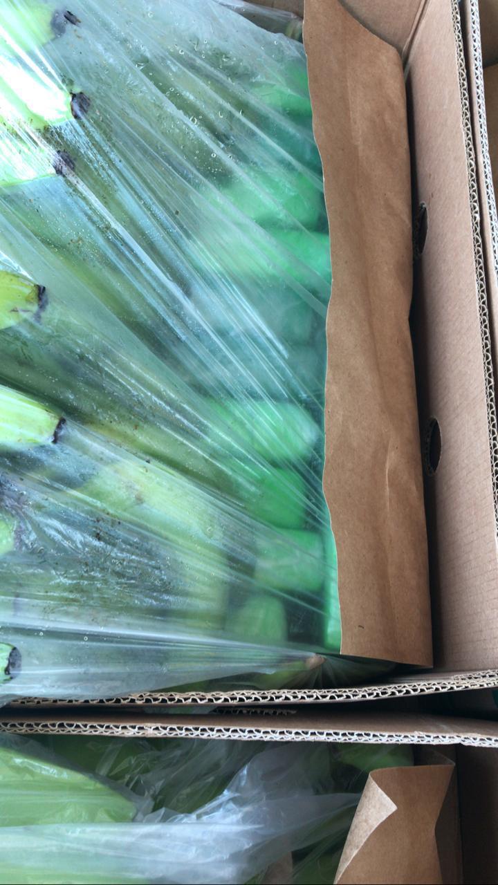  656-kilos-de-cocaína-en-el-puerto-marítimo-de-Santa-Marta