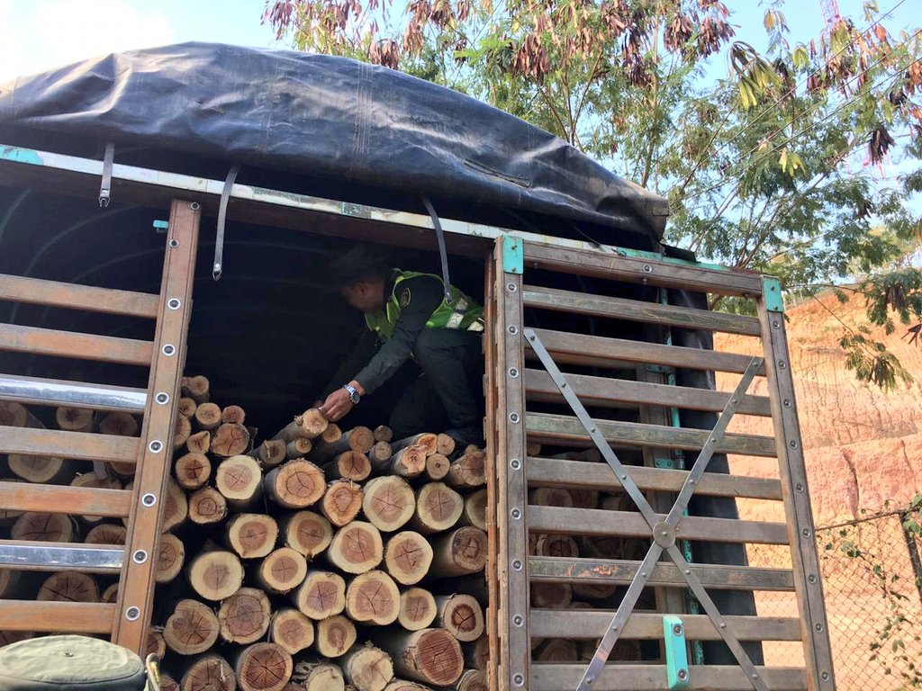 Incautacion de madera2