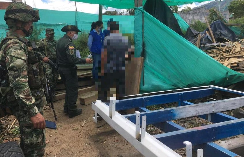 Mediante tres procedimientos incautamos gran cantidad de madera 