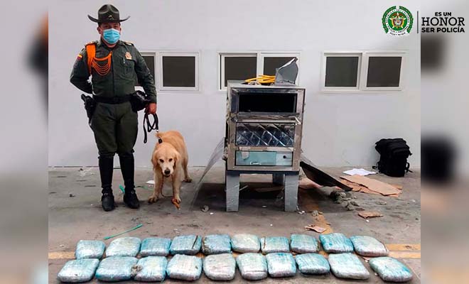 86 Kg. de marihuana fueron hallados en varias empresas de mensajería en Cali