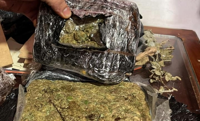 Incautación de marihuana tipo creepy envuelta en bolsas transparentes