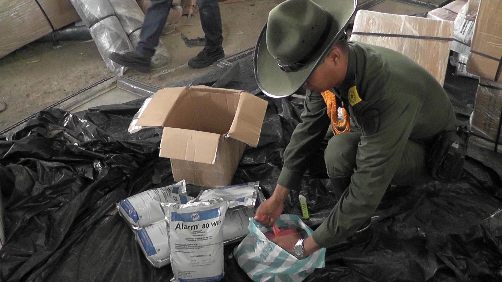 Los elementos estaban “camuflados en empaques de productos agrícolas y químicos para piscinas