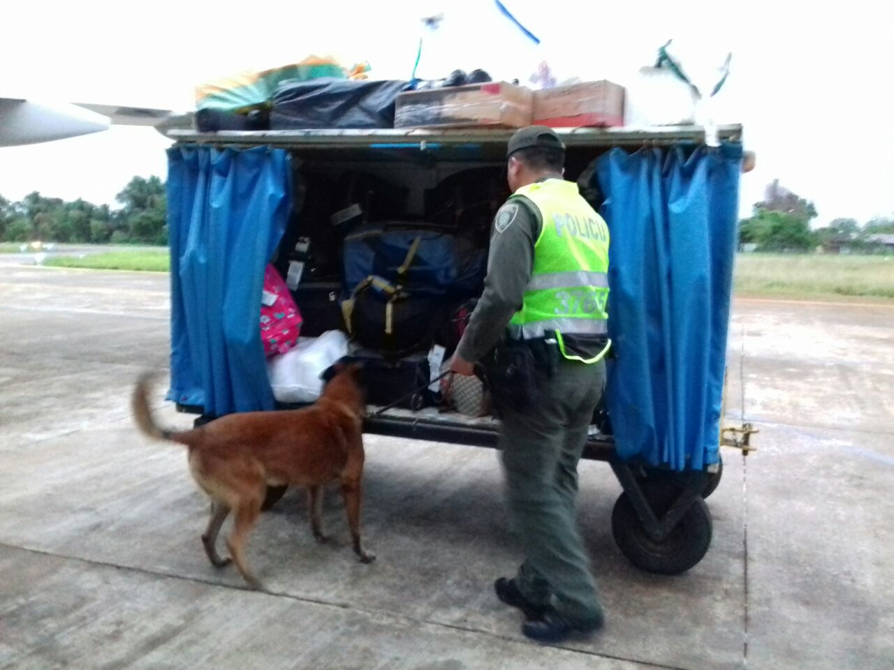 incautacion marihiuana aeropuerto mitu