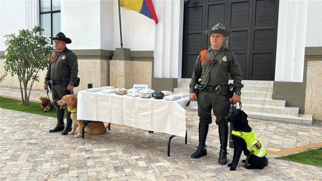 Incautan 11 kilos de marihuana en empresas de mensajería de Bucaramanga