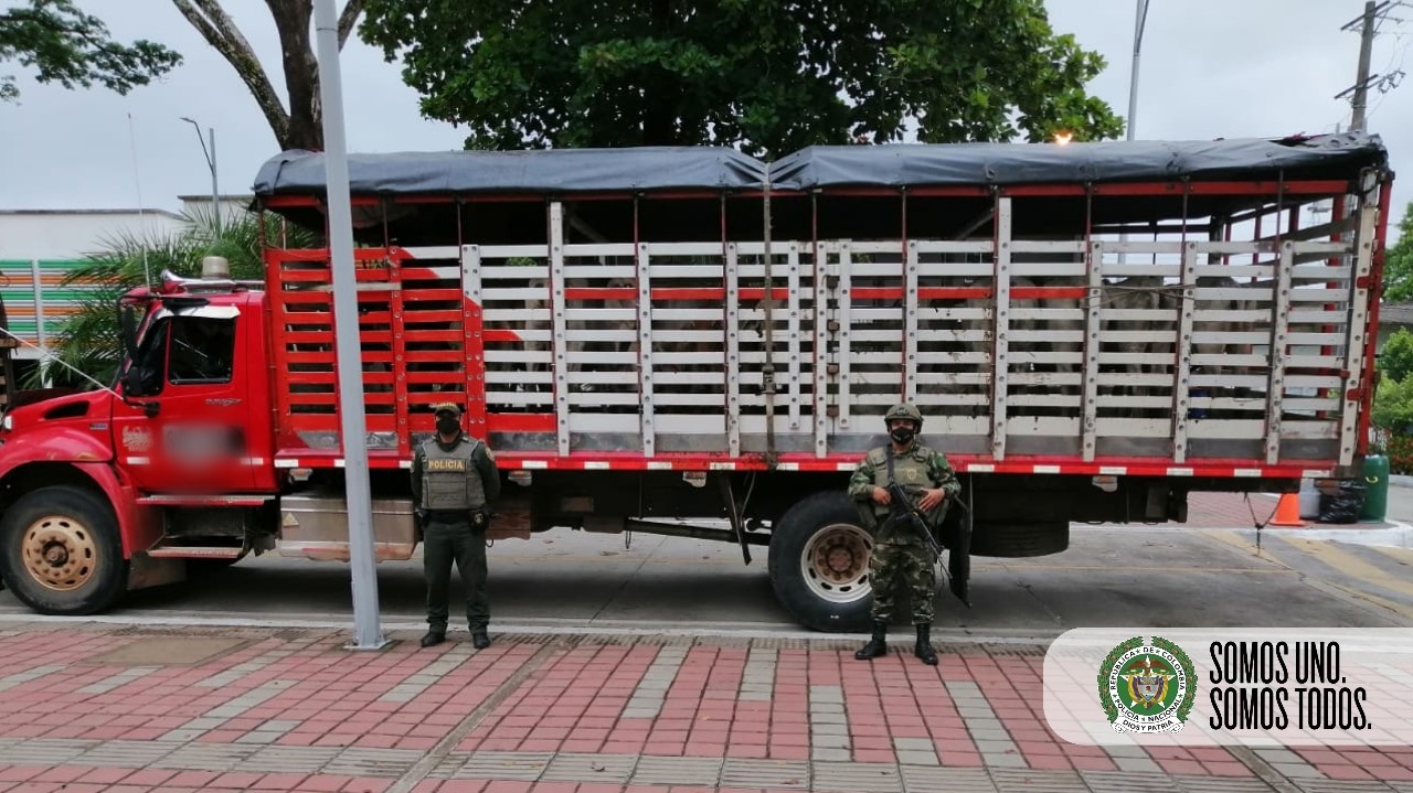 Incautados-67-semovientes-bovinos-en-controles-policiales-en-el-Meta2