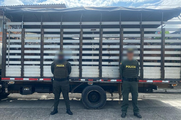 Incautados 34 semovientes bovinos sin guía de movilización