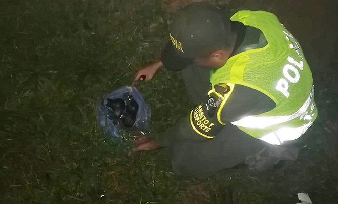 En-el-Meta-le-quitamos-cuatro-granadas-de-impacto-y-munición-para-fusil-a-la-delincuencia