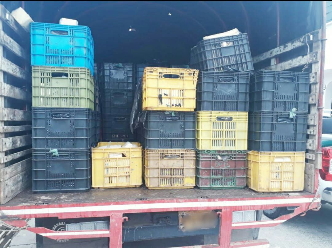 queso-de-contrabando-incautado