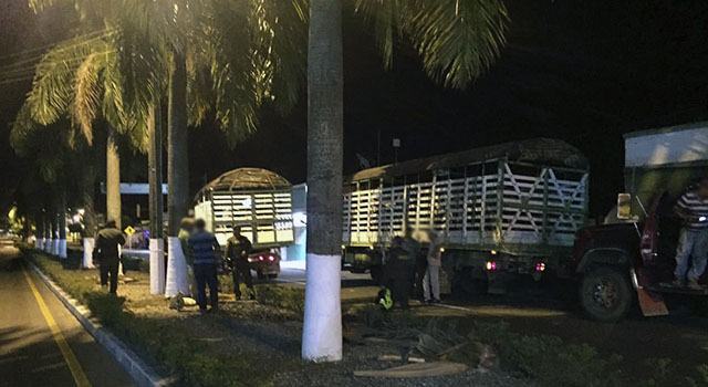 Avanza estrategia contra el hurto de cabezas de ganado-en el Meta-policia