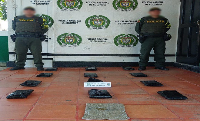 Incautan 12 kilos de marihuana Cripy, que tenían como destino la ciudad de Cartagena