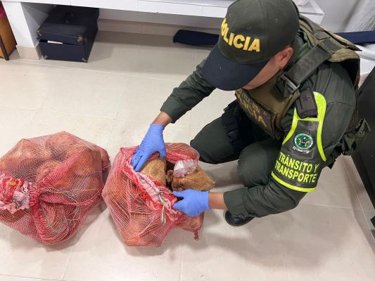 Encuentran droga en frutas 
