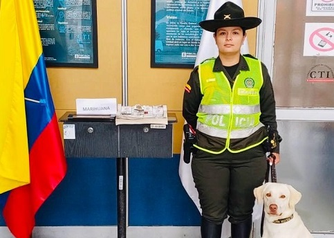 la canina Sam encontró droga dentro de un libro