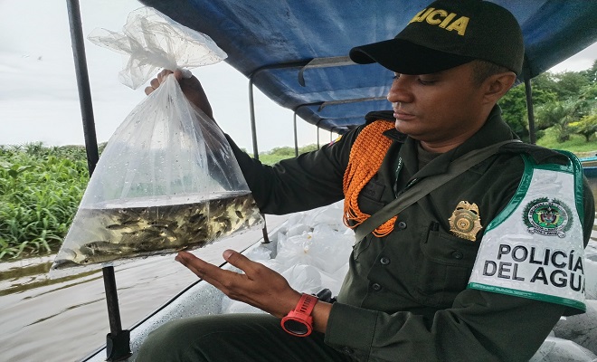 llevó a cabo una significativa jornada de repoblación piscícola en la ciénaga El Llanito