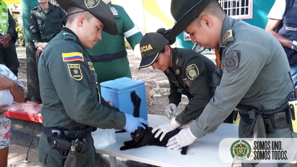 Adelantamos  jornada de vacunación de caninos y felinos en el sector de las palmas