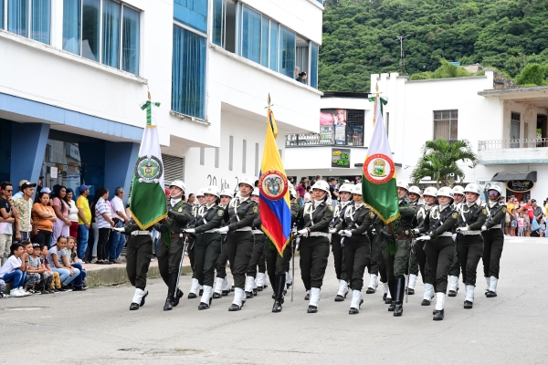  Desfile 20 de julio 