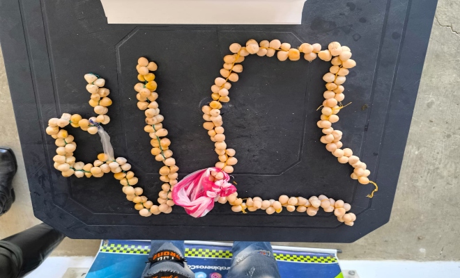 La afectación que generan en los animales.