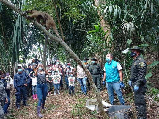 Comprometidos con el medio ambiente en el Meta
