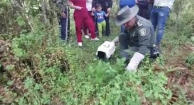 Protegiendo especies de fauna silvestre 