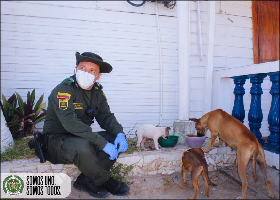 Somos Uno, Somos Todos los comprometidos con la protección de los animales