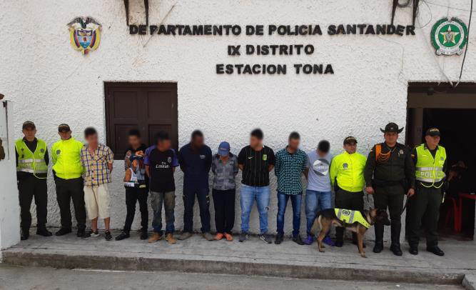 Cayeron_los_cebollas_1