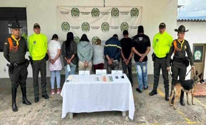 estructura_ criminal_ que_ se_ dedicaba_ al_ expendido_ de_| estupefacientes 