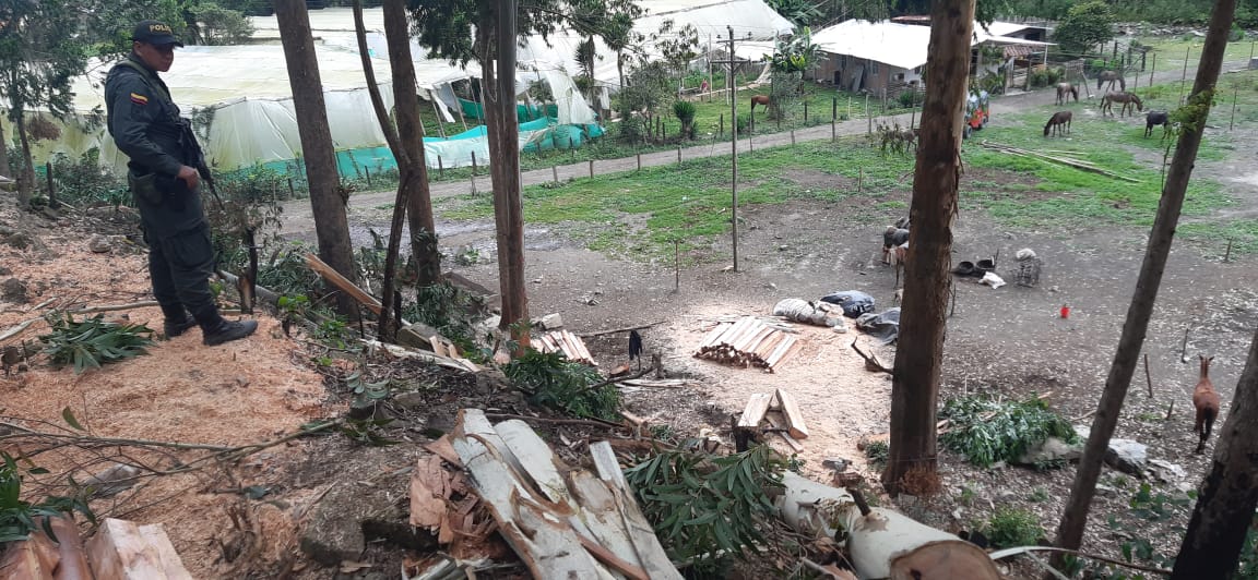 De esta manera protegemos la diversidad e integridad del ambiente