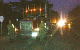 En los procedimientos se incautaron 197 m3 de madera