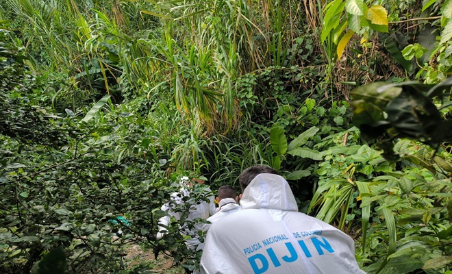 autoridades en el lugar de los hechos acontenidos de maltrato animal policia judicial