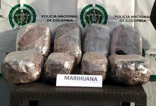 12 kilos de marihuana fueron incautados