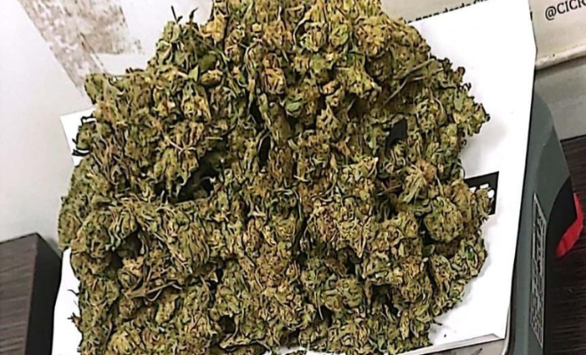 delito de fabricación, tráfico o porte de estupefacientes