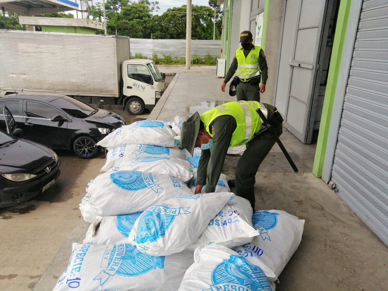 Más de 2000 kilos de pescado