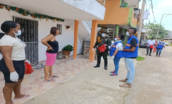 Más de 800 caracoles africanos gigantes fueron recolectados en Quibdó 