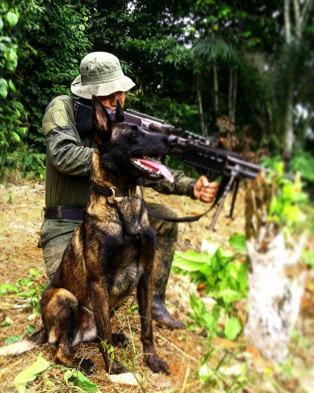 MUERTE-DE-‘COBRA’