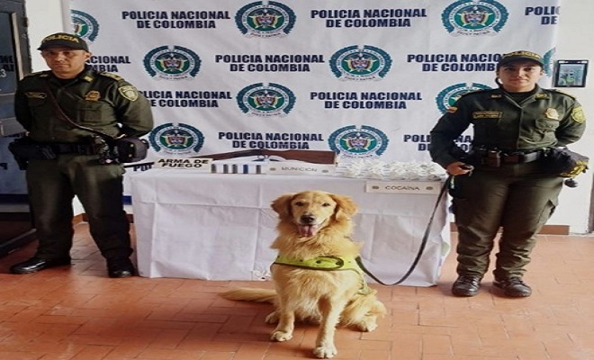 El canino 'Nico' permitió la incautación de un arma de fuego, varios cartuchos y estupefacientes en el municipio de Córdoba