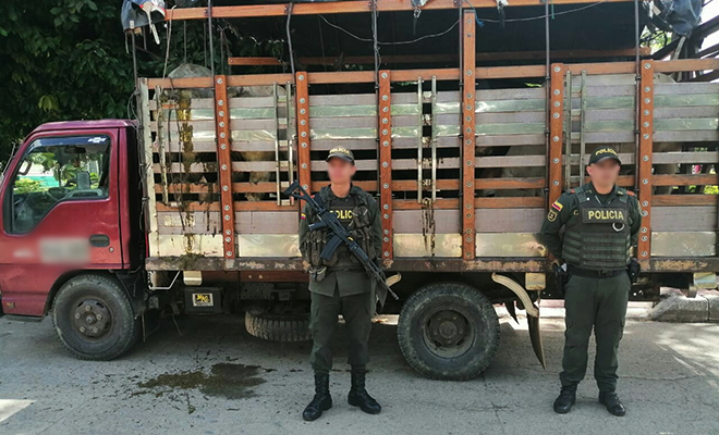 Todos-Contra-el-Hurto-combatimos-el-abigeato-en-el-Meta