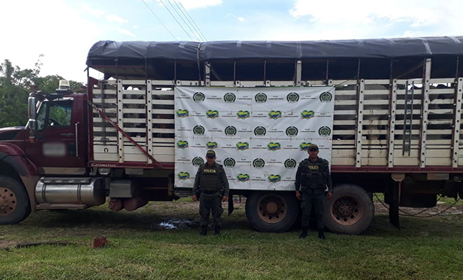 Ofensiva Nacional-contra-el-Delito-combate-el-hurto-sobre-cabezas-de-ganado-en-Meta