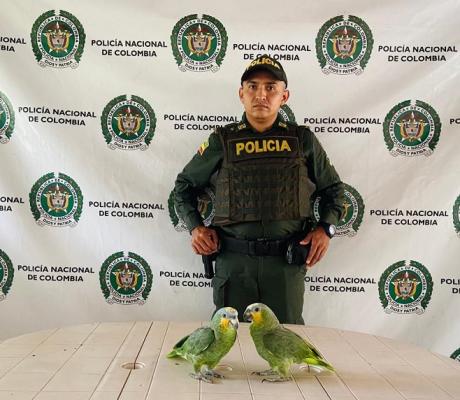 Ofensiva para la protección y cuidado del medio ambiente